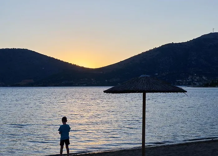 Afroditi By μρs Panagia (Karystos, Euboea)